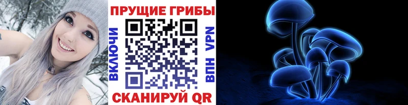 купить Абаза Галлюциногенные грибы мицелий